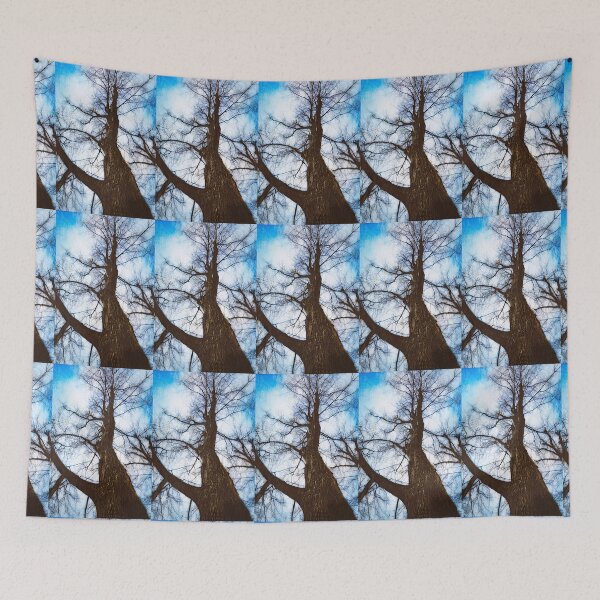 Item preview, Bare Linden Tree Against Sky designed and sold by Taina Sohlman.