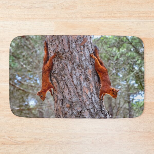 Item preview, Squirrels having fun designed and sold by Dave Hare Photography.