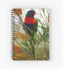 Rainbow Lorikeet Spiral Notebook