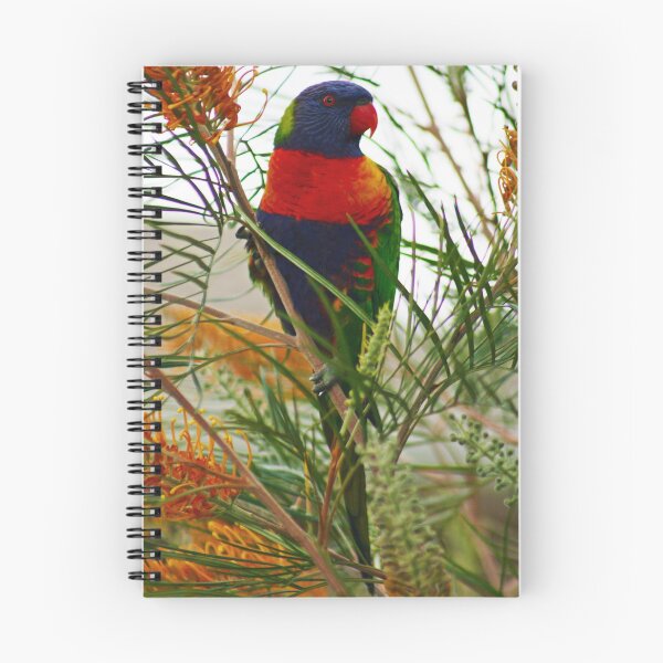 Item preview, Rainbow Lorikeet designed and sold by Tony Waite.