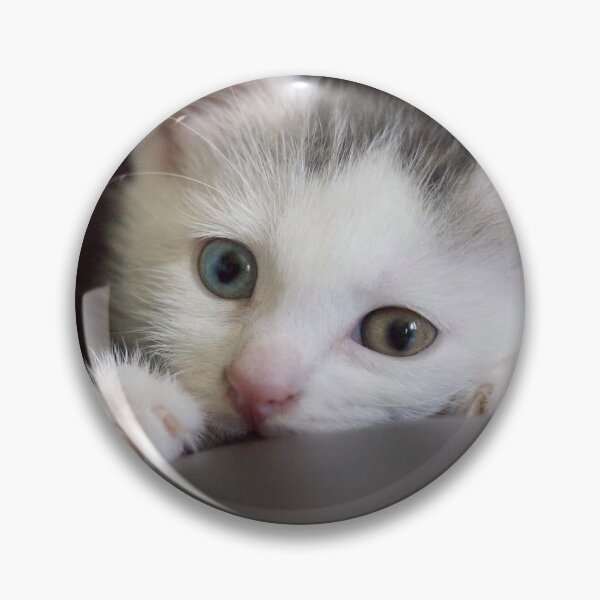 Item preview, Cute Kitten playing and hiding designed and sold by LinnJames0920.
