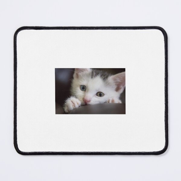 Item preview, Cute Kitten playing and hiding designed and sold by LinnJames0920.