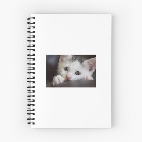 Item preview, Cute Kitten playing and hiding designed and sold by LinnJames0920.