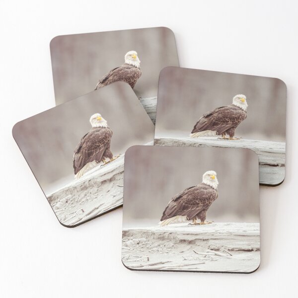 Item preview, Bald Eagle High on a Riverbank Haines Alaska designed and sold by PhotoArt by Joan Carroll.