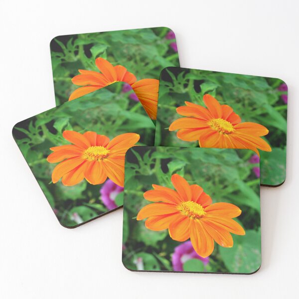 Item preview, Mexican sunflower 2 designed and sold by McFleur's Lens.
