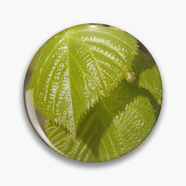 Item preview, Leaf in spring sun designed and sold by Aris-Naturepics.