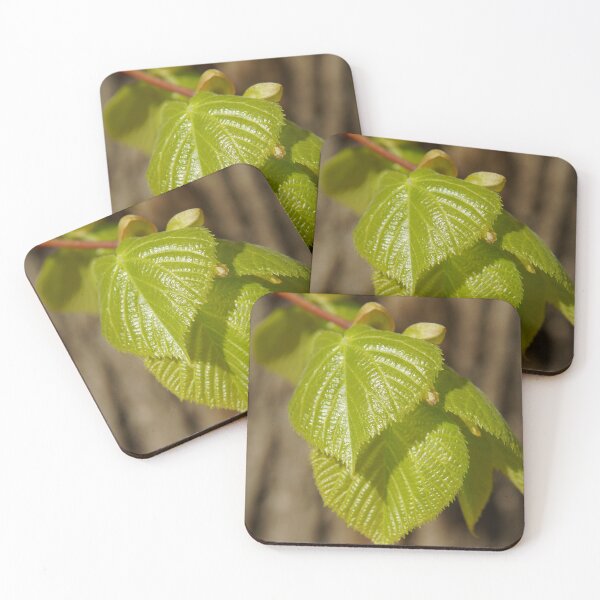 Item preview, Leaf in spring sun designed and sold by Aris-Naturepics.