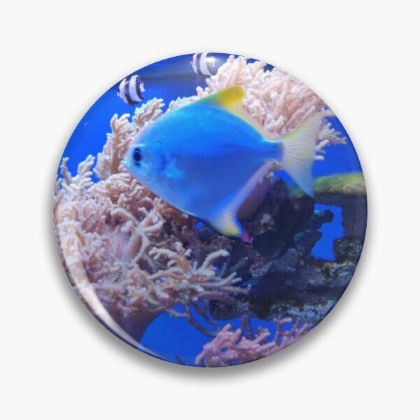 Item preview, Underwater world designed and sold by Aris-Naturepics.