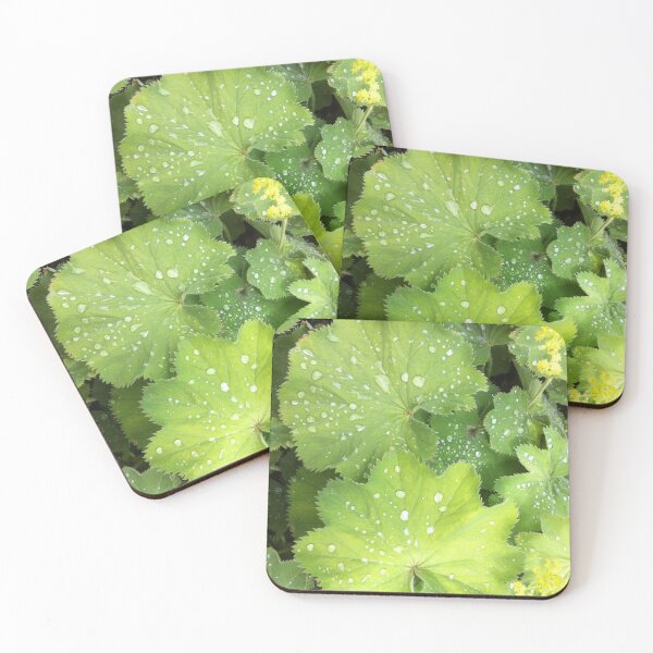 Item preview, After the rain designed and sold by Aris-Naturepics.