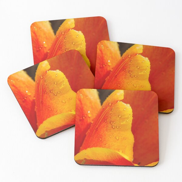 Item preview, Tulip after the rain designed and sold by Aris-Naturepics.