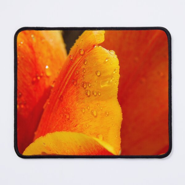 Item preview, Tulip after the rain designed and sold by Aris-Naturepics.