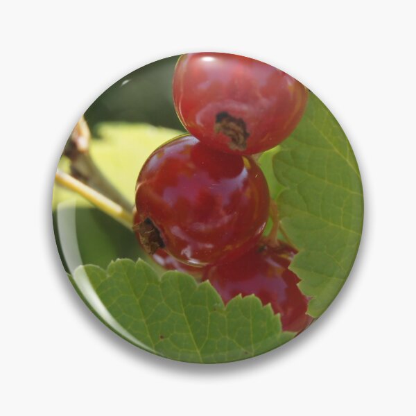 Item preview, Red currant designed and sold by Aris-Naturepics.