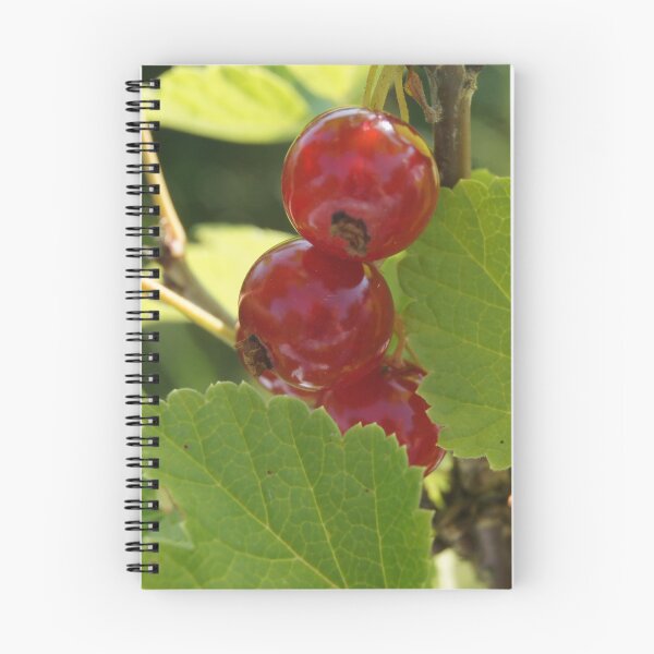 Item preview, Red currant designed and sold by Aris-Naturepics.
