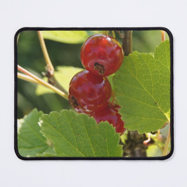 Item preview, Red currant designed and sold by Aris-Naturepics.