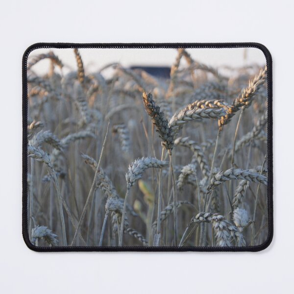 Item preview, Cornfield designed and sold by Aris-Naturepics.