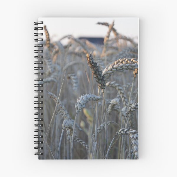 Item preview, Cornfield designed and sold by Aris-Naturepics.