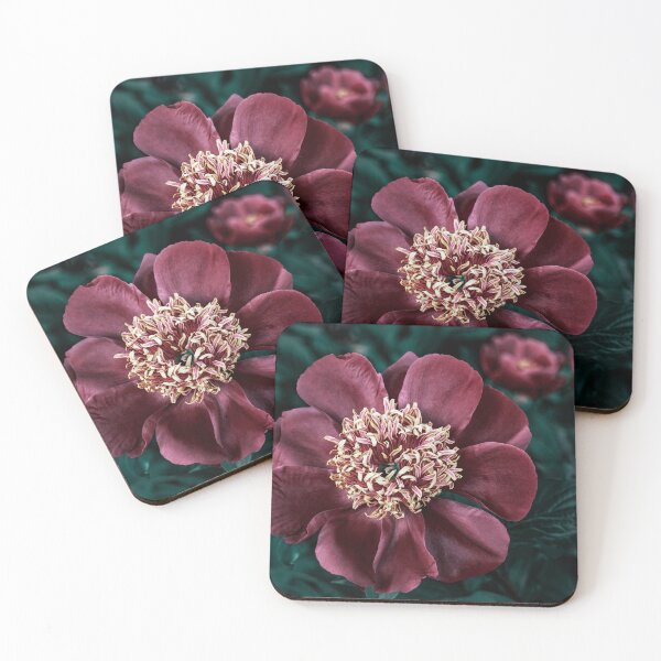 Artikelvorschau, Dunkelvioletter Mohn, Blumenleinwand entworfen und verkauft von Floralartwork.