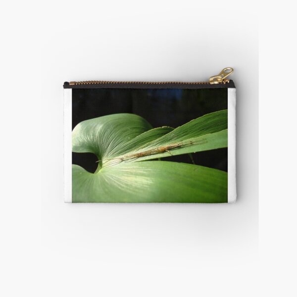 Item preview, Long Jaw Orb Weaver on Pickerel Weed designed and sold by May Lattanzio.