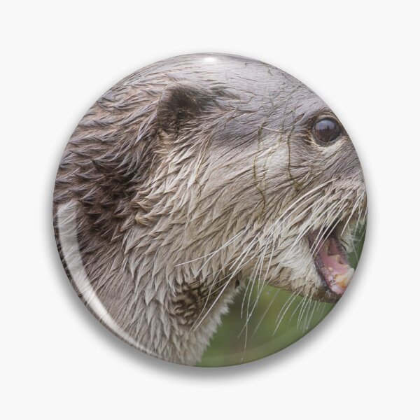 Item preview, Otter designed and sold by Nigel R Bell Photography.