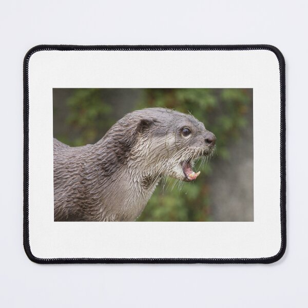 Item preview, Otter designed and sold by Nigel R Bell Photography.