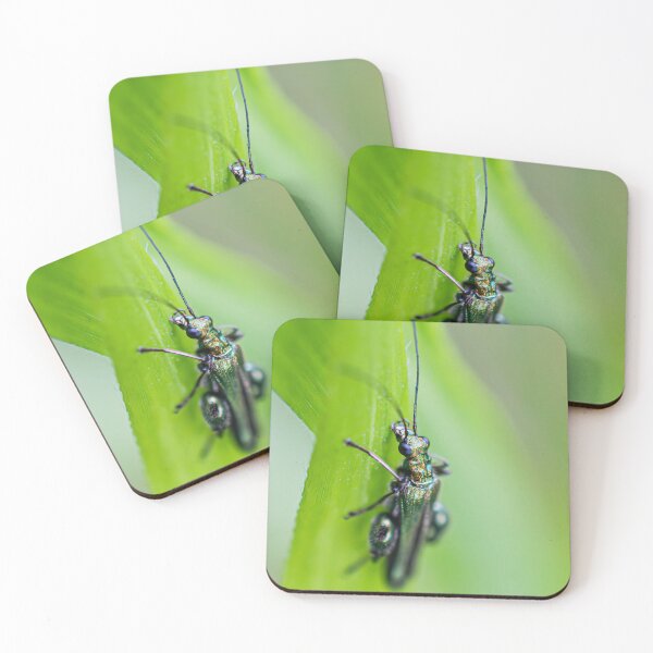 Item preview, Beetle designed and sold by MTPhotos1406.