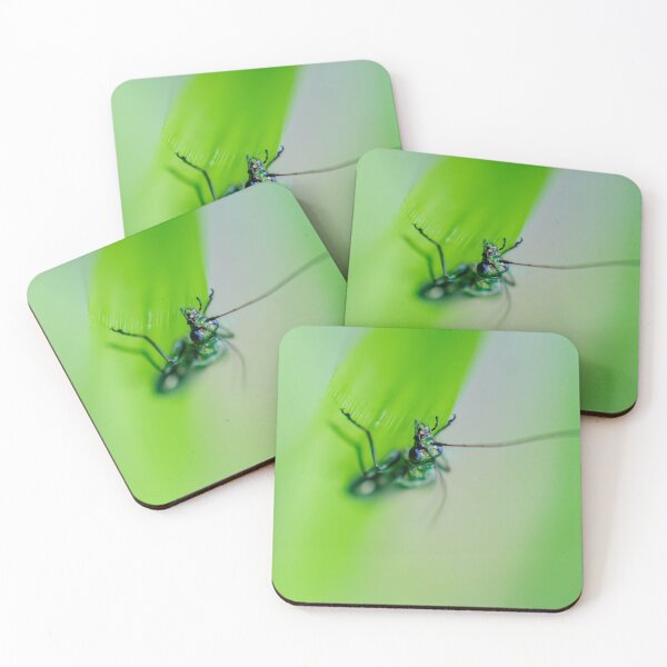 Item preview, Beetle designed and sold by MTPhotos1406.