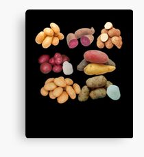 All Kinds Of Potatoes Canvas Print