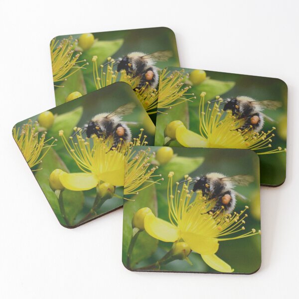 Item preview, Bee on Hellebore designed and sold by keithmilligan.
