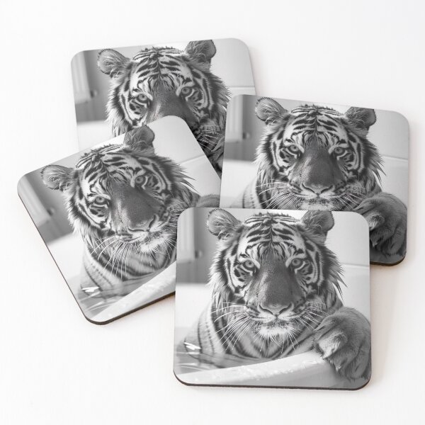 Item preview, Tiger Taking a Bath, Funny Vintage Animal Photo designed and sold by CheekyAnimalz.