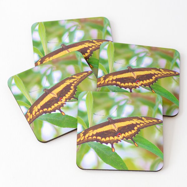 Item preview, GIANT SWALLOWTAIL designed and sold by adumont1.