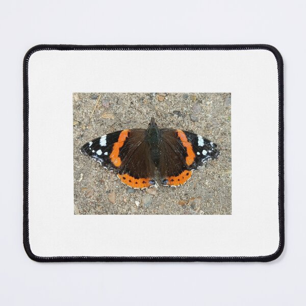 Item preview, Red Admiral butterfly designed and sold by Oubaitory.