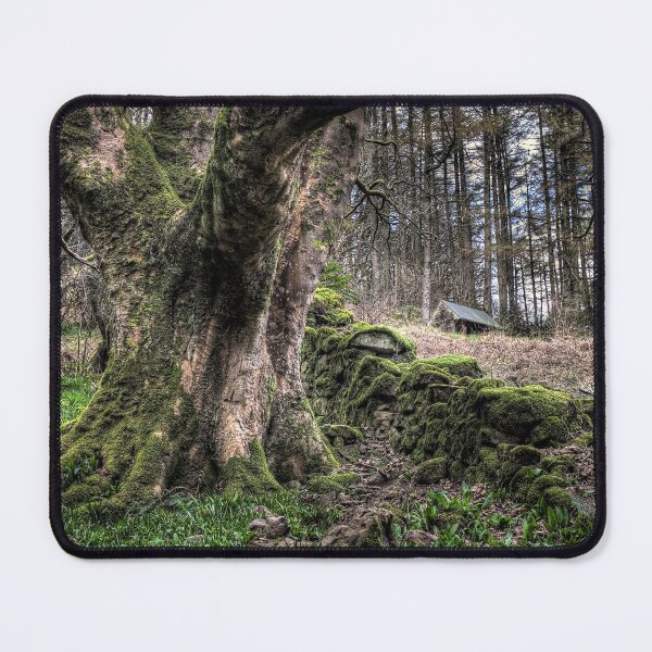 Item preview, Glenariff Forest designed and sold by Nigel R Bell Photography.