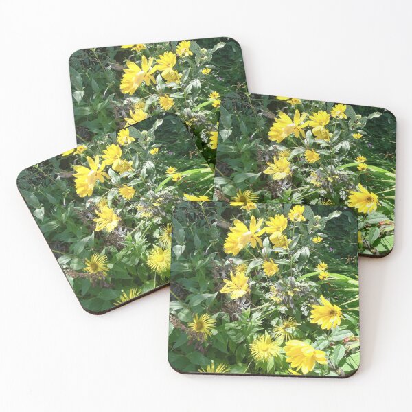Item preview, Yellow inula daisies photograph designed and sold by esvb.