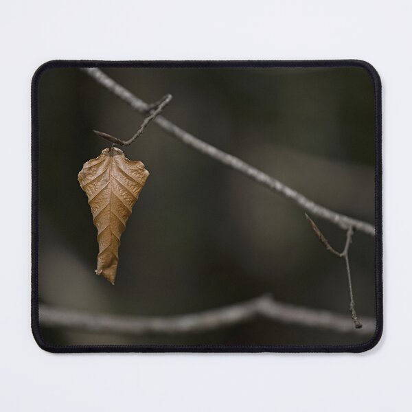 Item preview, About to drop. designed and sold by Nigel R Bell Photography.