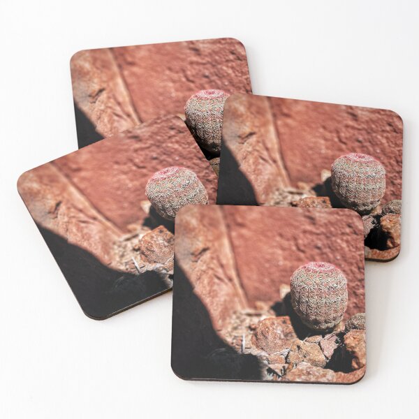 Item preview, Strawberry Hedgehog Cactus designed and sold by Jason Tompkins.