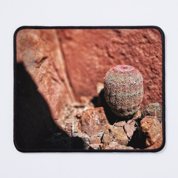 Item preview, Strawberry Hedgehog Cactus designed and sold by Jason Tompkins.