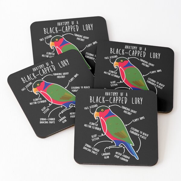 Item preview, Black-capped Lory Parrot Anatomy designed and sold by Clara Hollins.