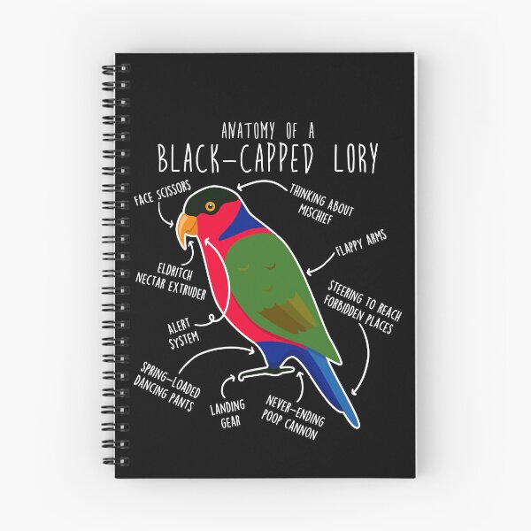 Item preview, Black-capped Lory Parrot Anatomy designed and sold by Clara Hollins.