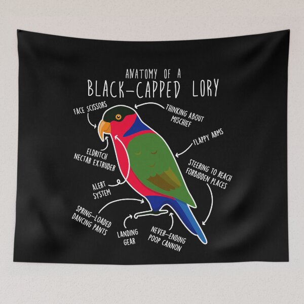 Item preview, Black-capped Lory Parrot Anatomy designed and sold by Clara Hollins.