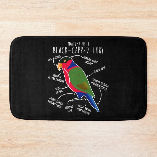 Item preview, Black-capped Lory Parrot Anatomy designed and sold by Clara Hollins.