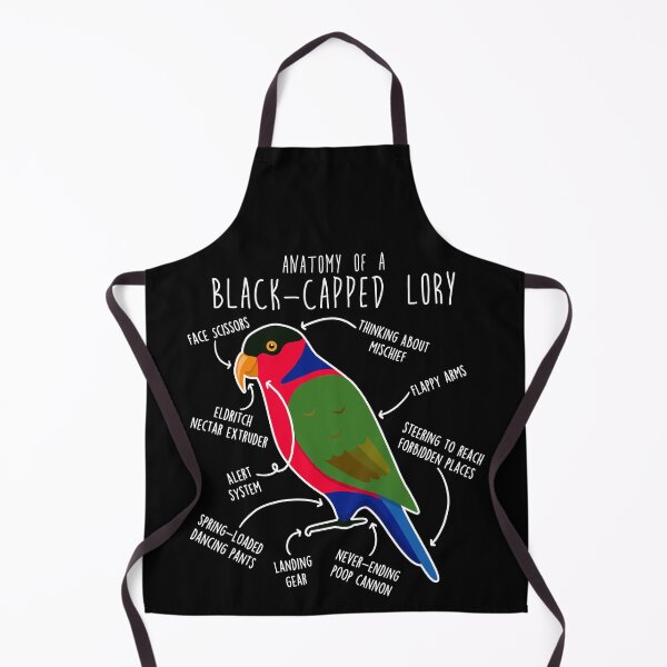 Item preview, Black-capped Lory Parrot Anatomy designed and sold by Clara Hollins.