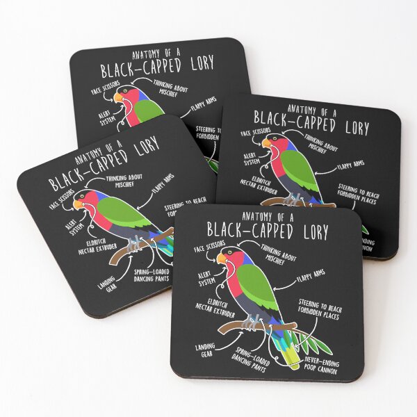 Item preview, Black-capped Lory Parrot Anatomy designed and sold by Clara Hollins.