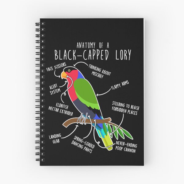 Item preview, Black-capped Lory Parrot Anatomy designed and sold by Clara Hollins.