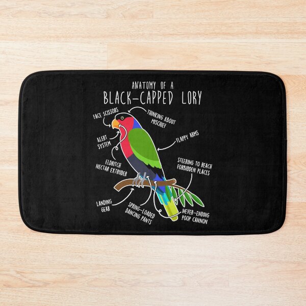 Item preview, Black-capped Lory Parrot Anatomy designed and sold by Clara Hollins.