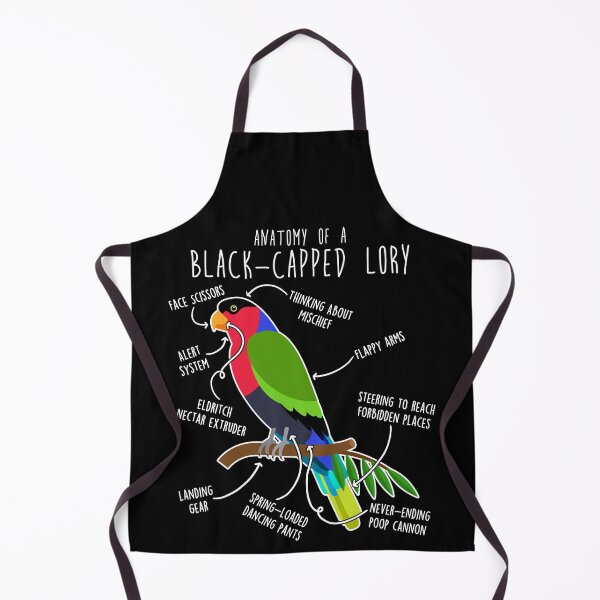 Item preview, Black-capped Lory Parrot Anatomy designed and sold by Clara Hollins.