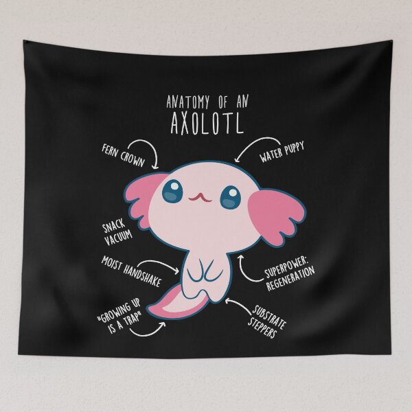 Item preview, Axolotl Anatomy designed and sold by Clara Hollins.
