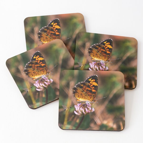 Item preview, Close Up Small Butterfly designed and sold by Tiffany Bumgardner.