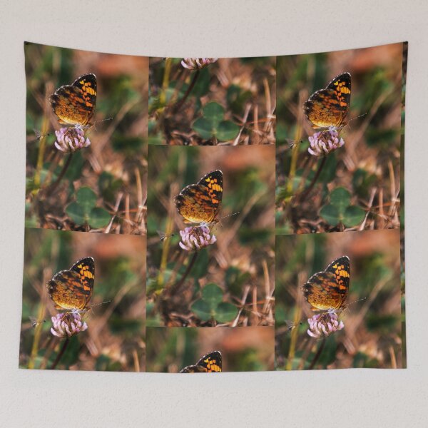 Item preview, Close Up Small Butterfly designed and sold by Tiffany Bumgardner.