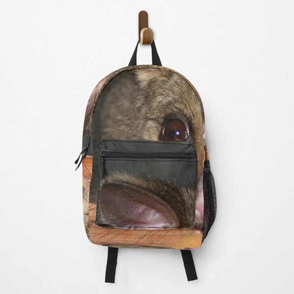 Item preview, Cute Australian Possum with big eyes designed and sold by FranWest.