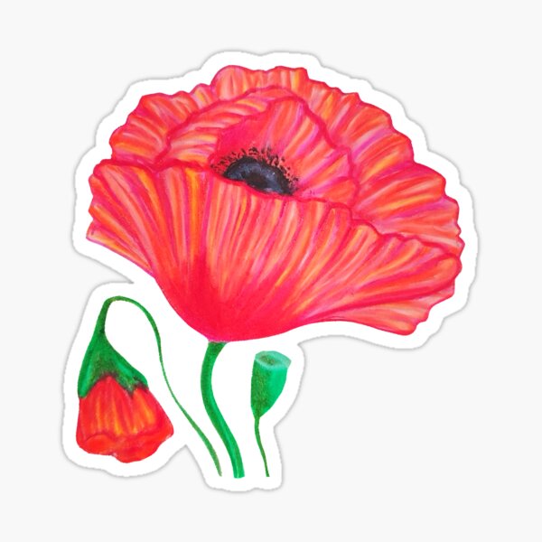 Colorful poppy flower Sticker